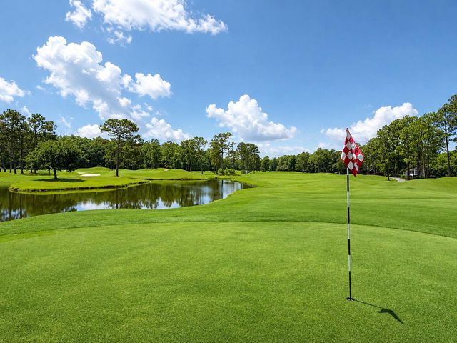 2505 Hummingbird Lane, Summerville, SC 29483