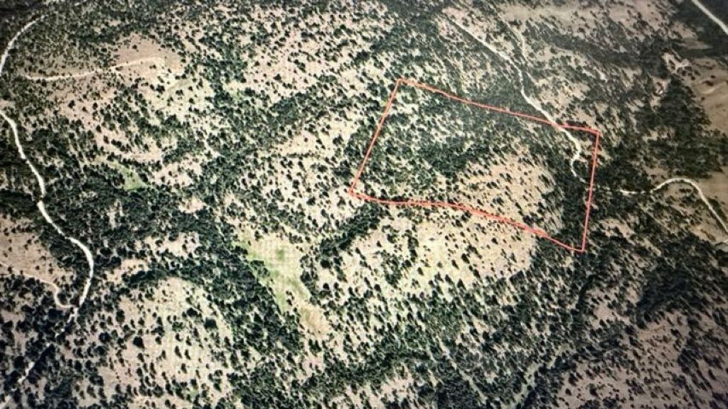 0 NFD 3010 Rd, Other, WA 98844 photo 3