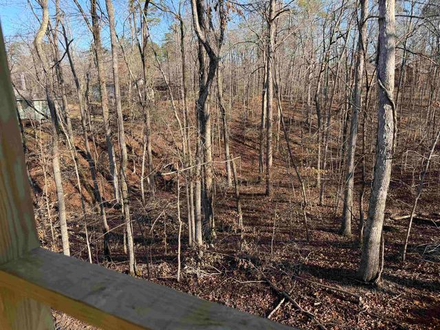 95 SHANNON LN, Counce, TN 38372