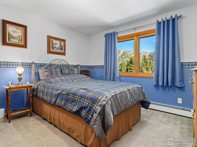 3807 Dollar Lake Dr, Estes Park, CO 80517