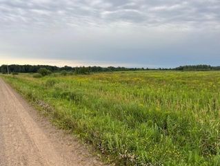 23xxx Olympic Street, Whited Twp, MN 55007