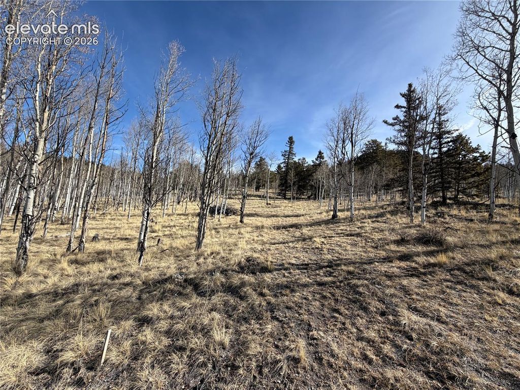 32 Sugar Loaf Lane, Jefferson, CO 80456 — exterior
