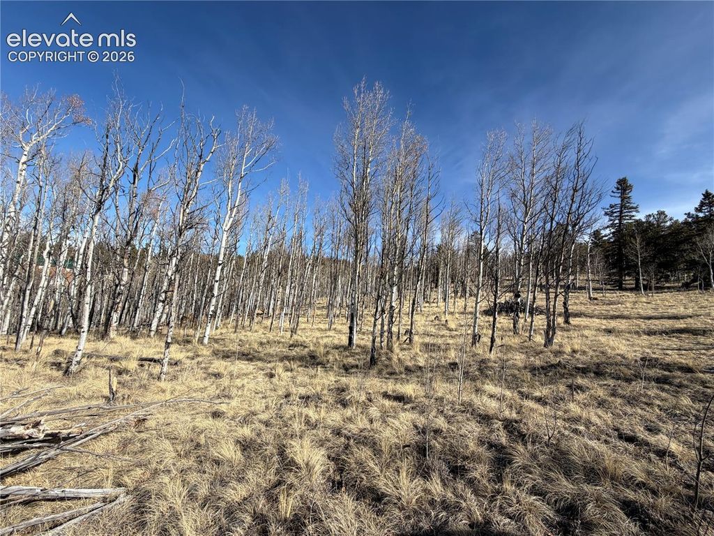 32 Sugar Loaf Lane, Jefferson, CO 80456 — photo 2