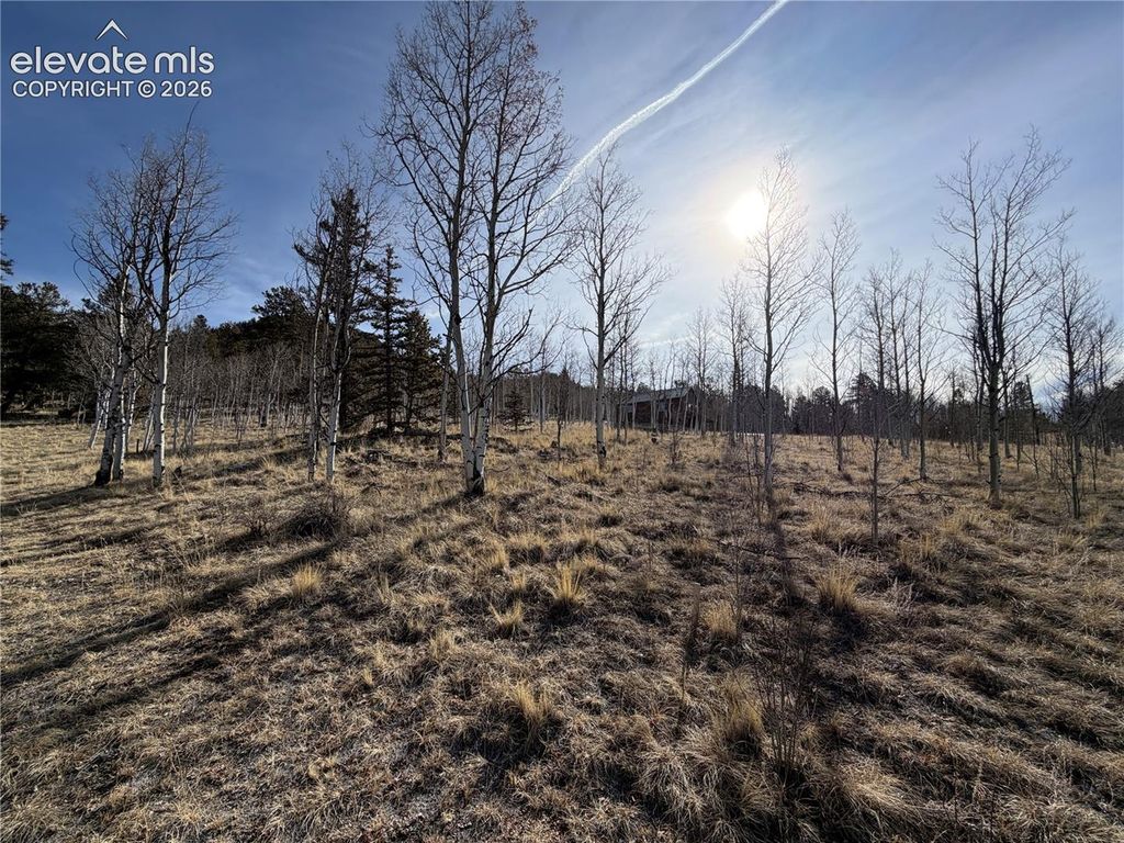 32 Sugar Loaf Lane, Jefferson, CO 80456 — photo 3