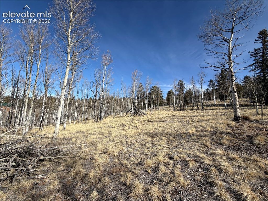 32 Sugar Loaf Lane, Jefferson, CO 80456 — photo 4