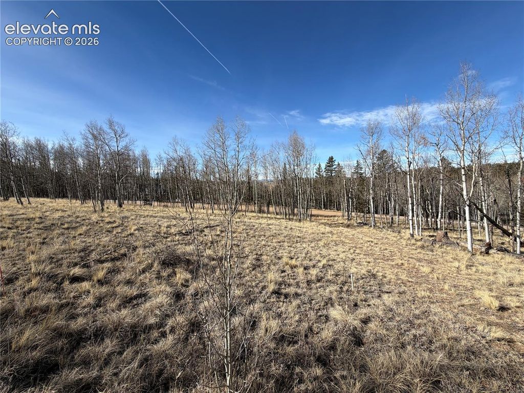 32 Sugar Loaf Lane, Jefferson, CO 80456 — photo 5