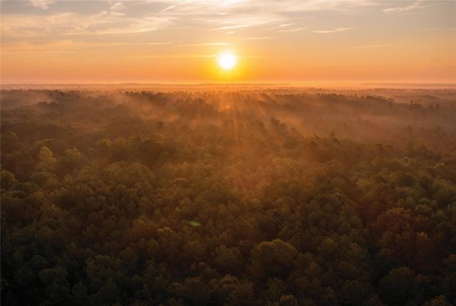 15618 Cricket Creek Court, Willis, TX 77378