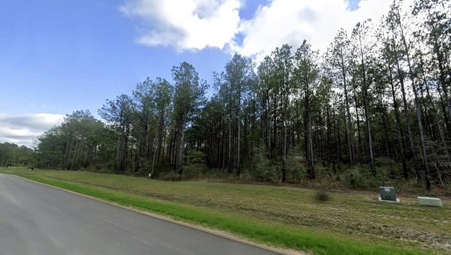 15618 Cricket Creek Court, Willis, TX 77378