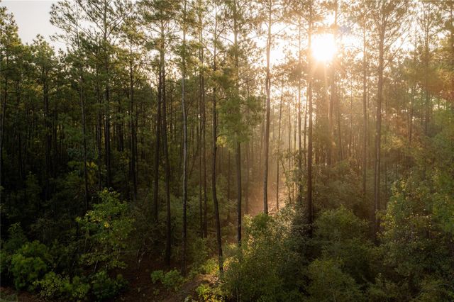 15618 Cricket Creek Court, Willis, TX 77378