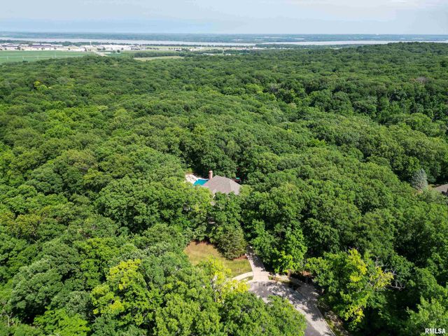112 W GREYSTONE Court, Dunlap, IL 61525