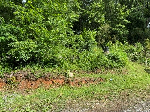 92 Benji Drive, Ellijay, GA 30540