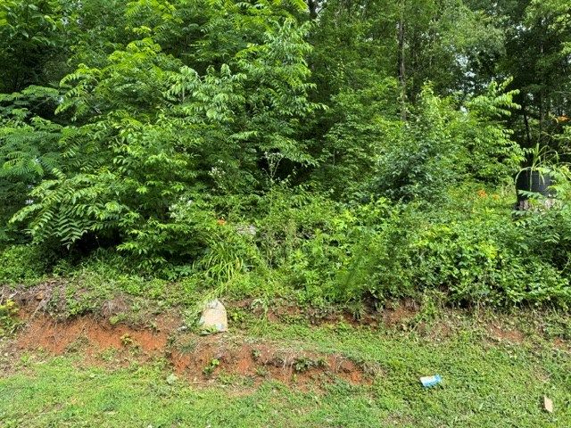 92 Benji Drive, Ellijay, GA 30540