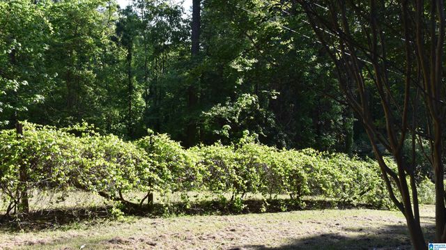 2653 OVERHILL CIRCLE, Sylacauga, AL 35150