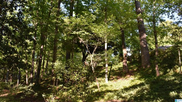 2653 OVERHILL CIRCLE, Sylacauga, AL 35150