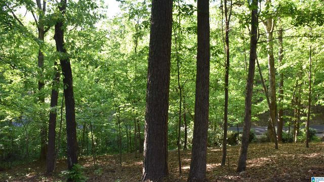 2653 OVERHILL CIRCLE, Sylacauga, AL 35150