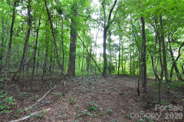 607 Anthony Grove Road, Crouse, NC 28033