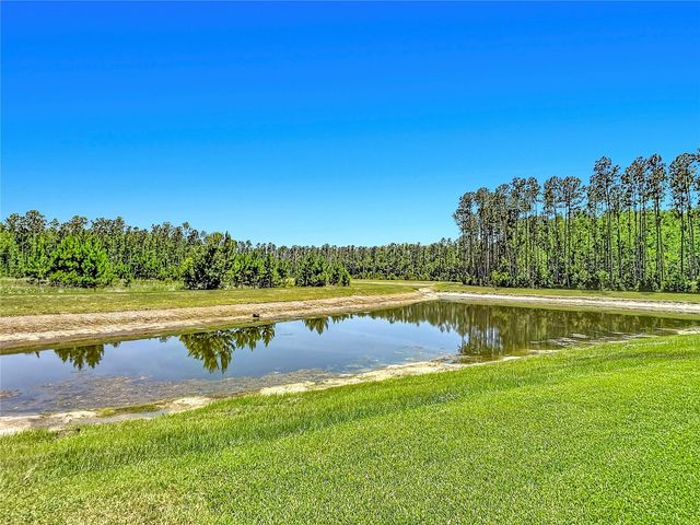 7677 BROAD RIVER AVENUE, Land O Lakes, FL 34638