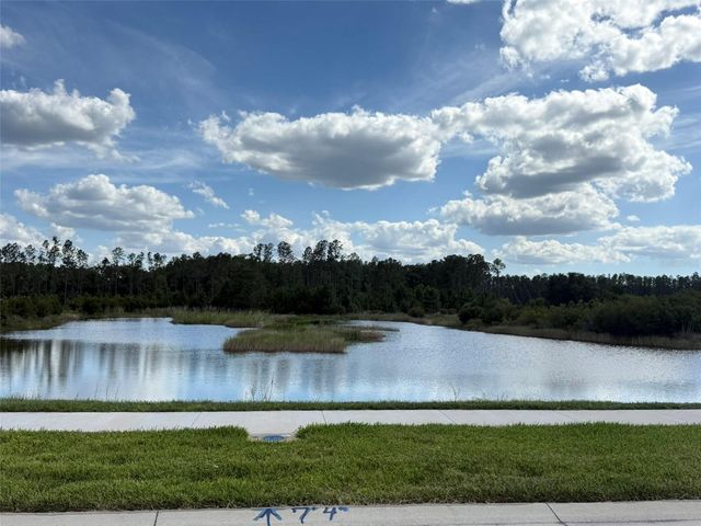 7677 BROAD RIVER AVENUE, Land O Lakes, FL 34638