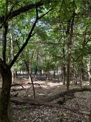 Lot 40 Pine Drive, Garfield, AR 72732