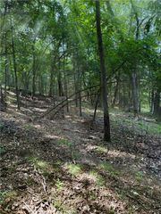 Lot 40 Pine Drive, Garfield, AR 72732