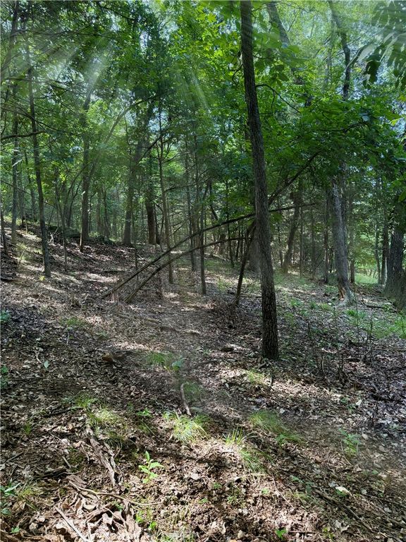 Lot 40 Pine Drive, Garfield, AR 72732