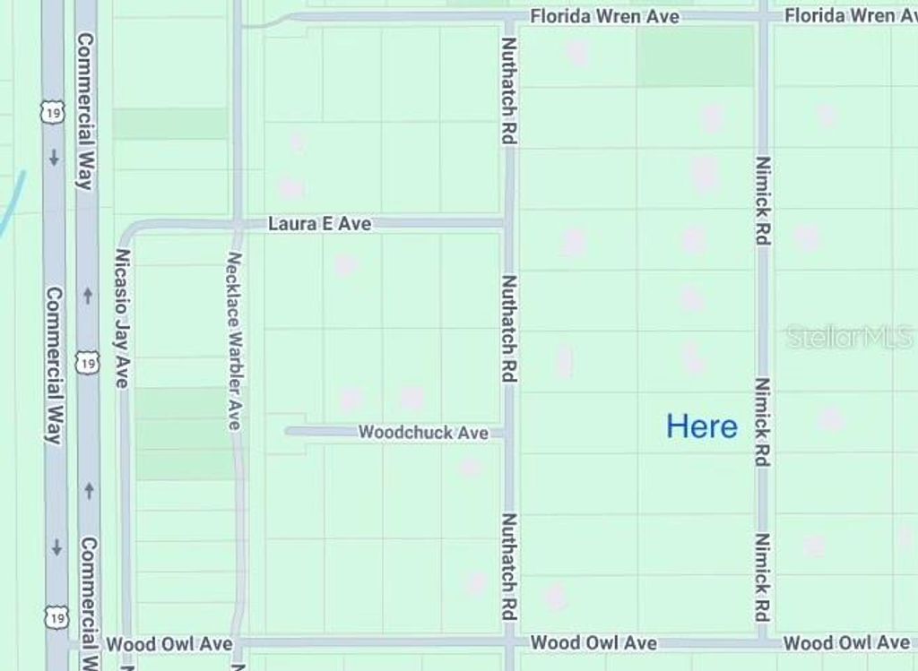 17467 NIMICK ROAD, Weeki Wachee, FL 34614