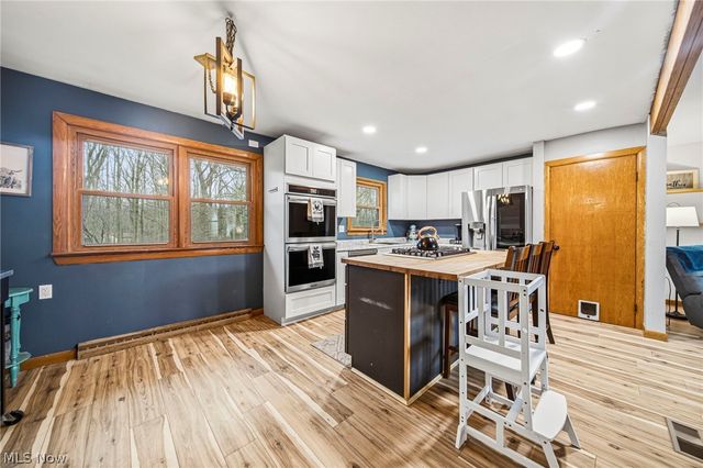 11914 Concord Hambden Road, Painesville, OH 44077