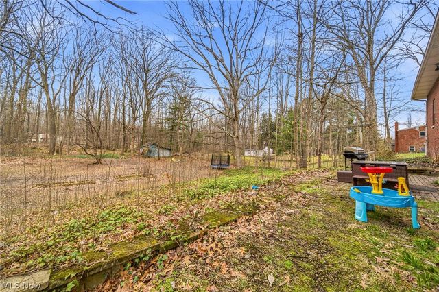 11914 Concord Hambden Road, Painesville, OH 44077