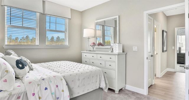 765 PINTAIL TERRACE, Orange Park, FL 32073