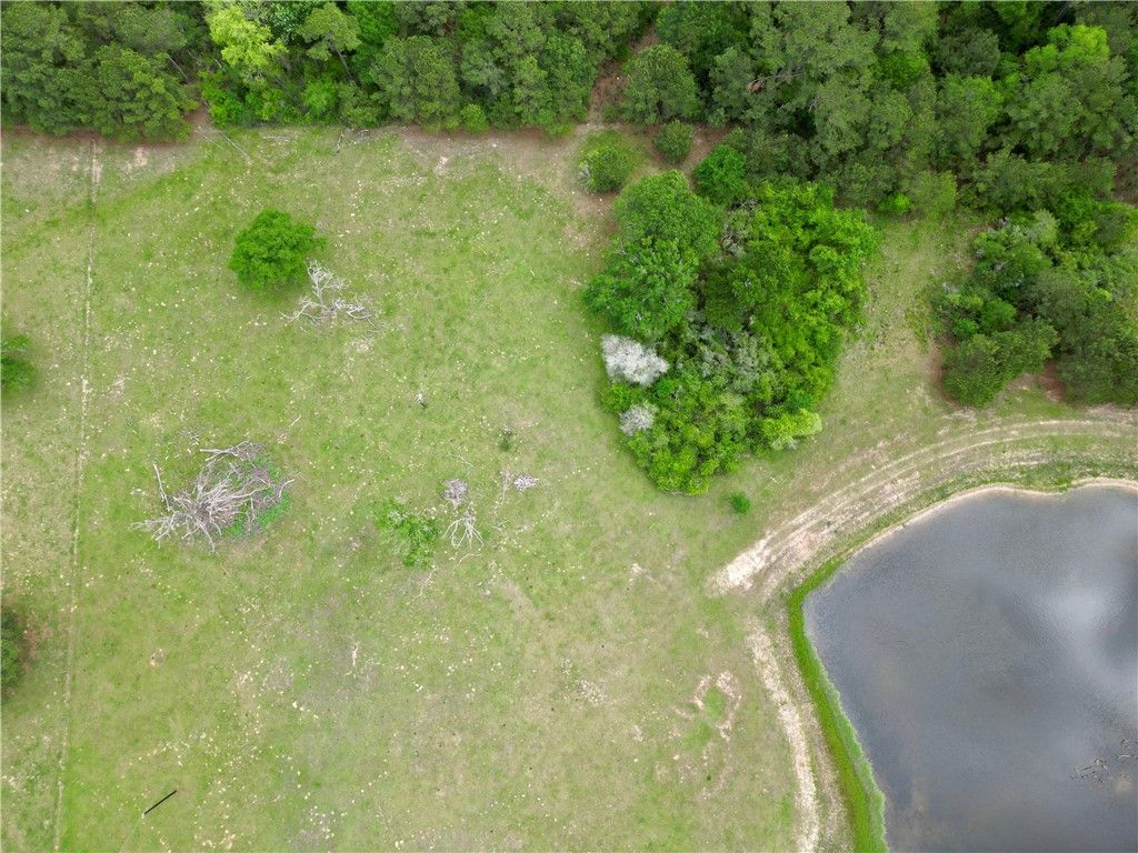 TBD County Road 410 County Road, Navasota, TX 77868 — photo 4