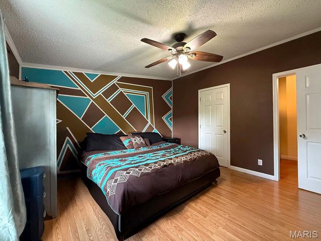 205 Phidias Place, De Soto, MO 63020