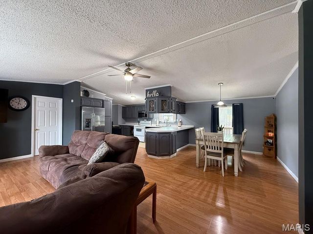 205 Phidias Place, De Soto, MO 63020