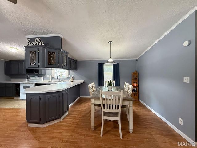 205 Phidias Place, De Soto, MO 63020