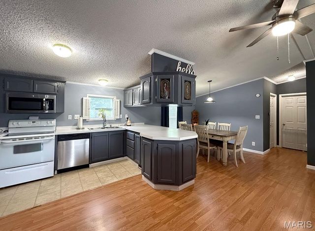 205 Phidias Place, De Soto, MO 63020