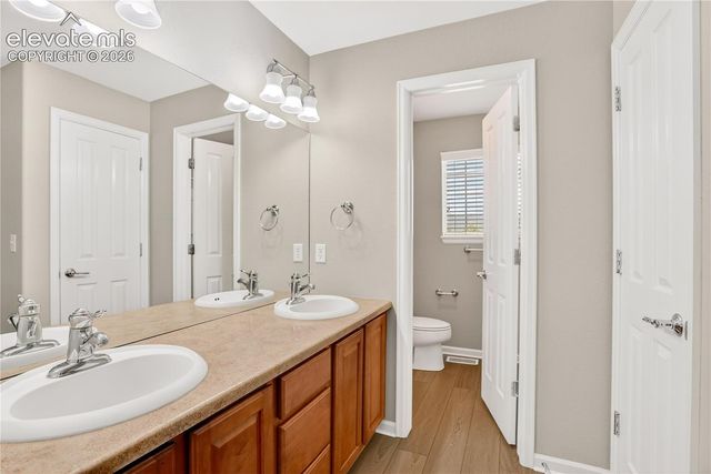 17095 Blue Mist Grove, Monument, CO 80132