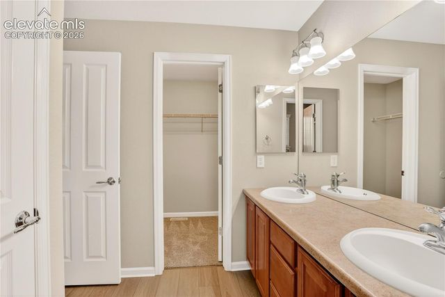 17095 Blue Mist Grove, Monument, CO 80132