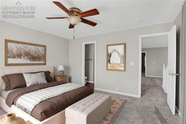 17095 Blue Mist Grove, Monument, CO 80132
