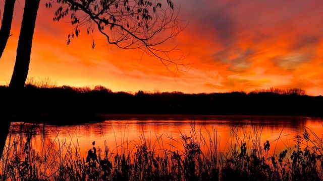 8687 Ridgewind Road, Eden Prairie, MN 55344