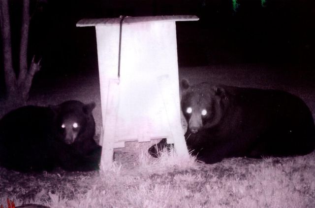 3211 Ivory Street, Isle, MN 56342