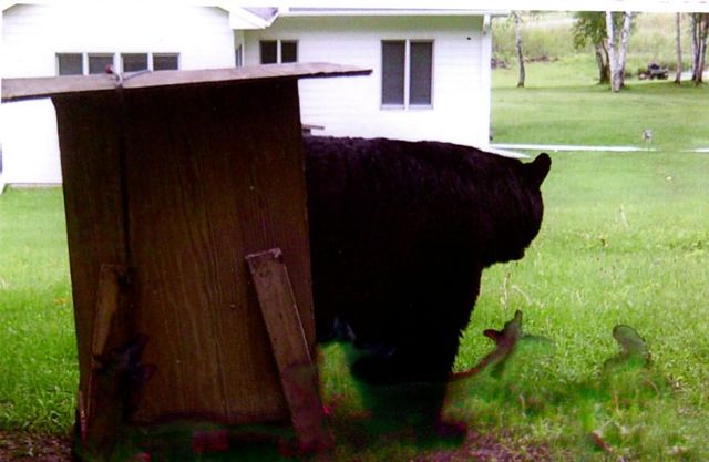 3211 Ivory Street, Isle, MN 56342