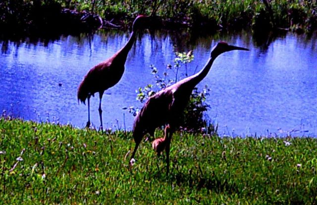 3211 Ivory Street, Isle, MN 56342