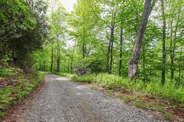 795 Porterfield Gap Road, Robbinsville, NC 28771