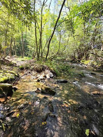 795 Porterfield Gap Road, Robbinsville, NC 28771