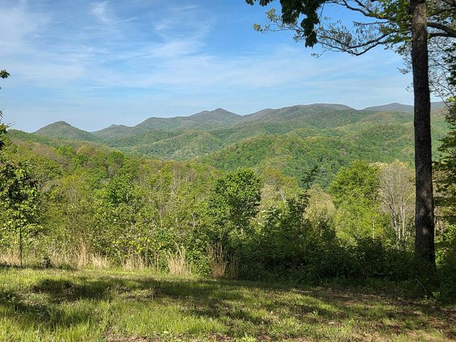 795 Porterfield Gap Road, Robbinsville, NC 28771
