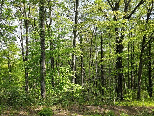 795 Porterfield Gap Road, Robbinsville, NC 28771