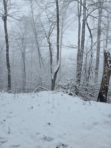 795 Porterfield Gap Road, Robbinsville, NC 28771