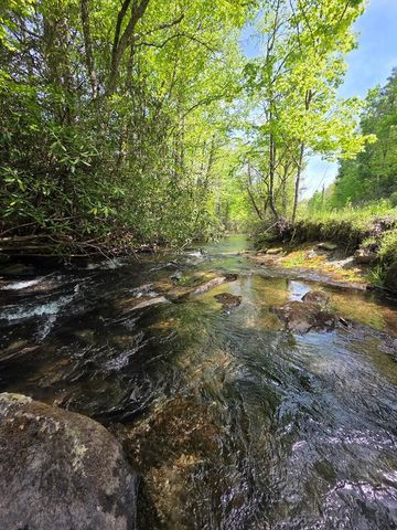 795 Porterfield Gap Road, Robbinsville, NC 28771