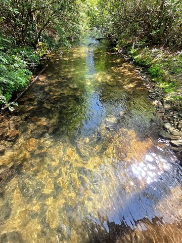 795 Porterfield Gap Road, Robbinsville, NC 28771