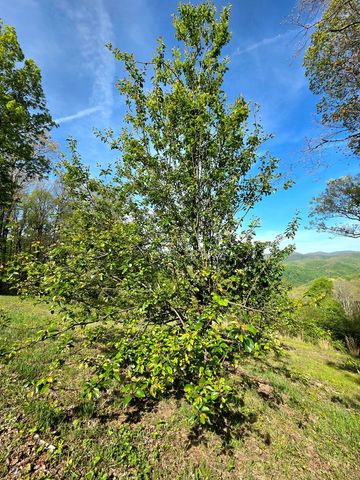 795 Porterfield Gap Road, Robbinsville, NC 28771