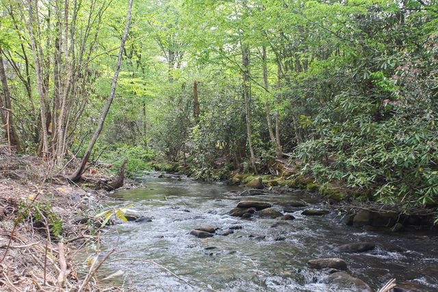 795 Porterfield Gap Road, Robbinsville, NC 28771